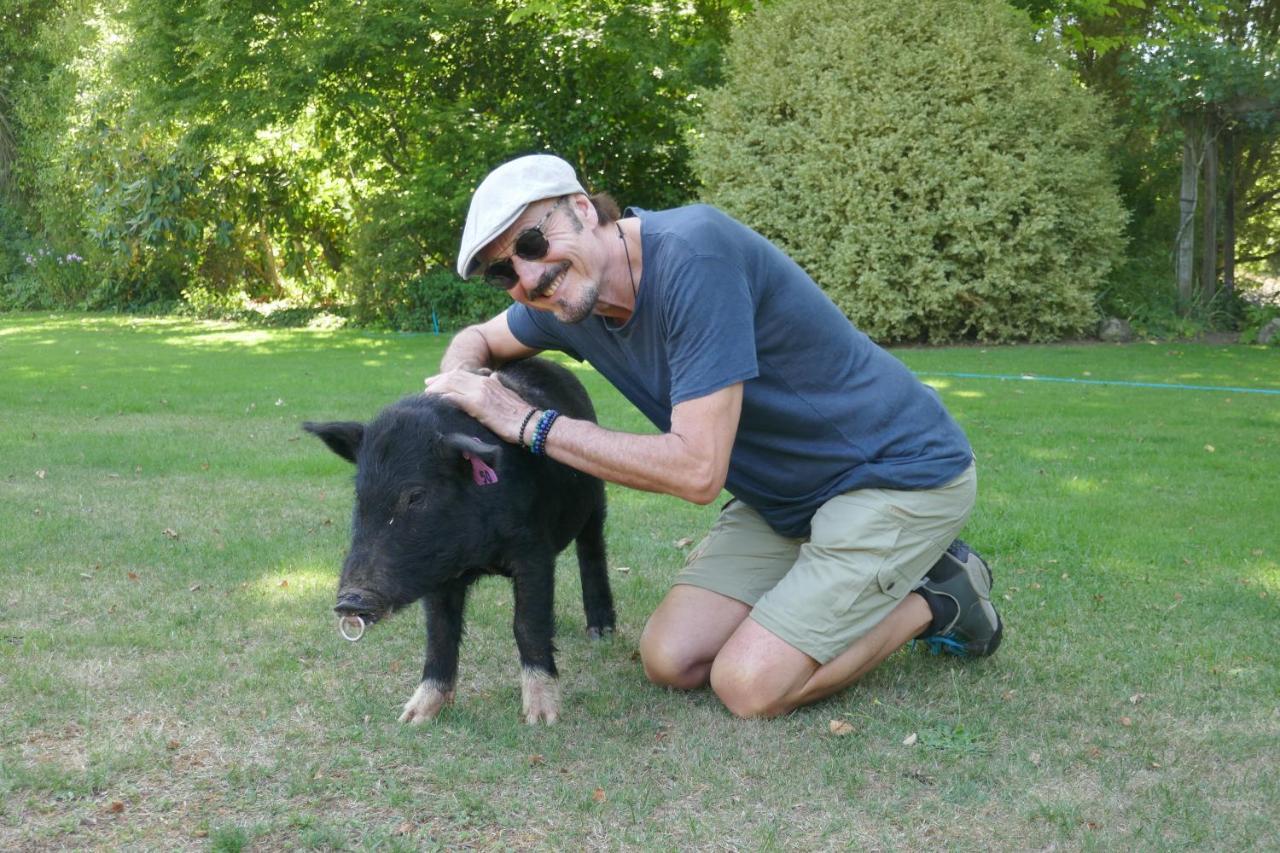 Karetu Downs Farm Stay Hawarden Εξωτερικό φωτογραφία