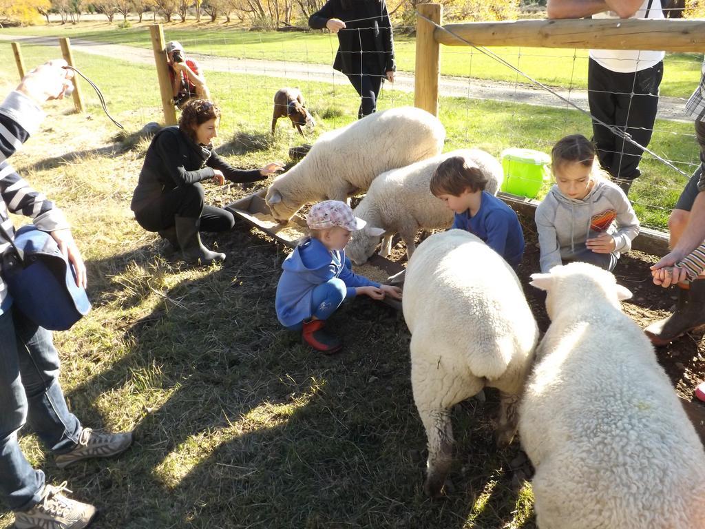 Karetu Downs Farm Stay Hawarden Εξωτερικό φωτογραφία