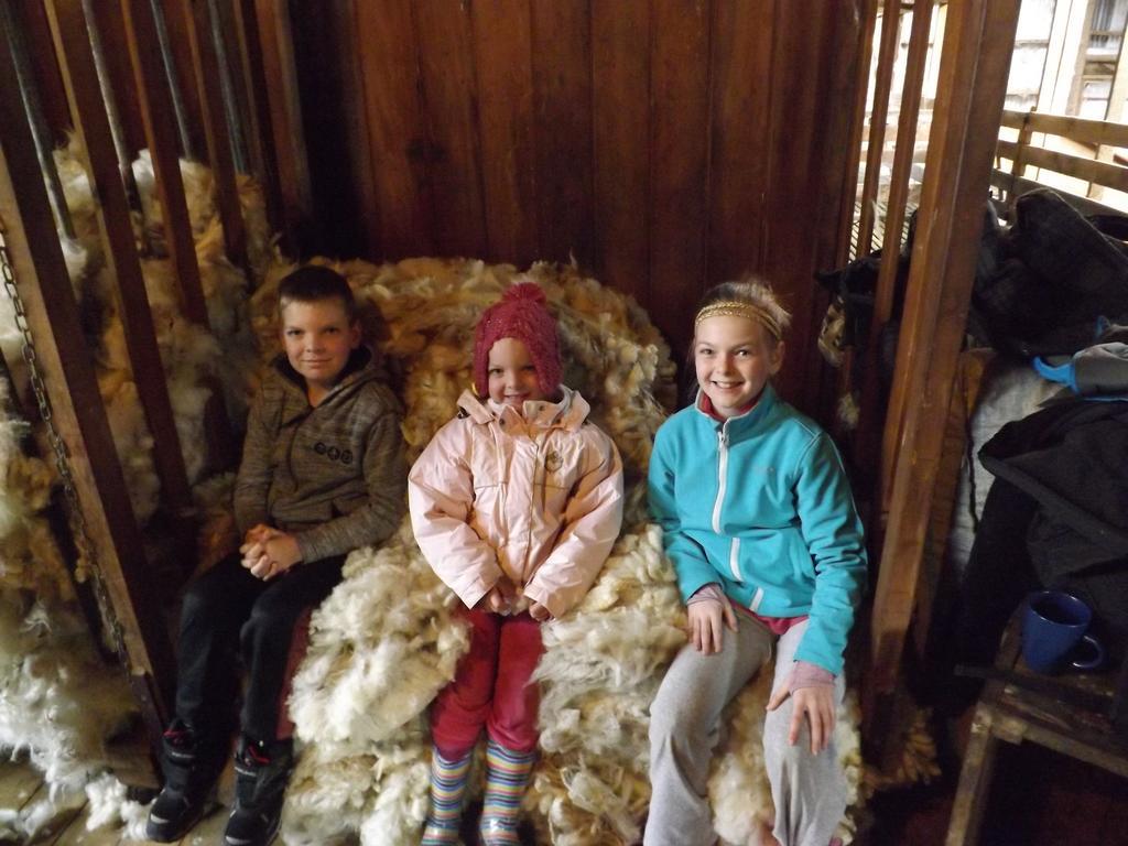 Karetu Downs Farm Stay Hawarden Εξωτερικό φωτογραφία